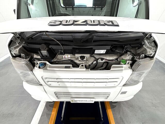 2009 SUZUKI CARRY TRUCK