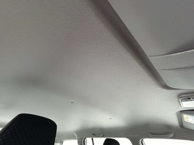 2019 MAZDA FAMILIA VAN