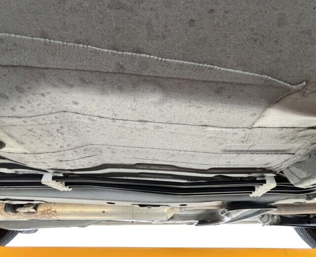 2019 MAZDA FAMILIA VAN